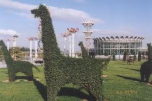 花卉大观园