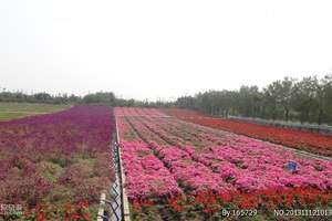 石门山森林公园