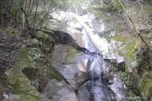千岛湖森林氧吧