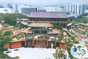 山旺古生物化石
