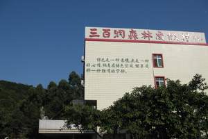 三百洞
