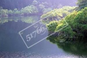 大丰门