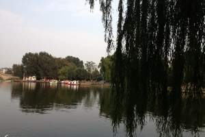 留仙湖公园