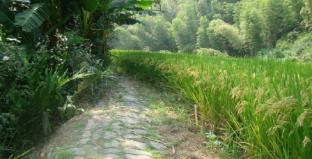 白云岩
