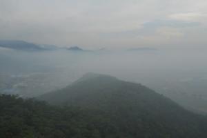 谢岗梦幻田园