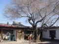 巴里坤县古民宅