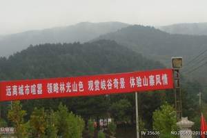 金丝峡景区