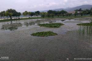 弥勒湖泉湾1号水疗