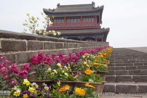 老龙头