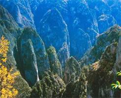 漳县贵清山