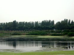 东白沙河水库