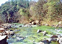阿路龙