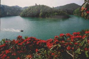 长顺杜鹃湖