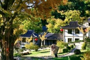 禅林寺古银杏风景园