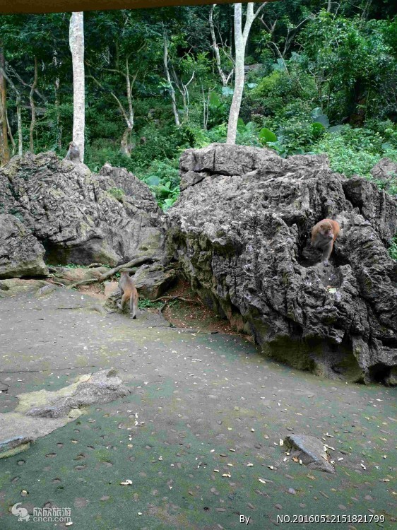 龙虎山