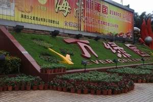 万绿园