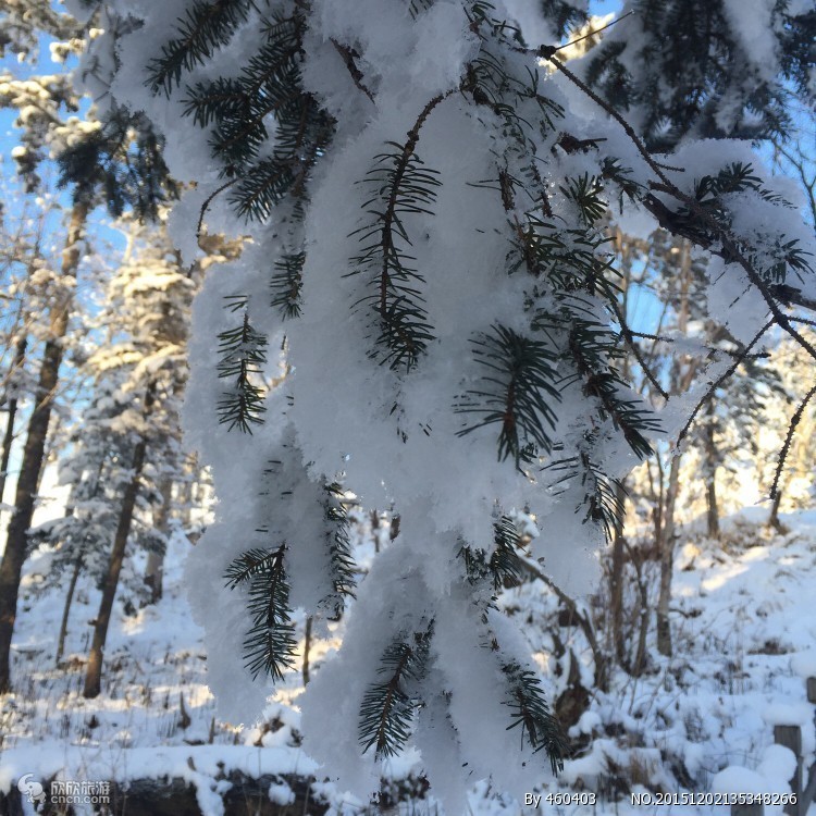 大秃顶子山