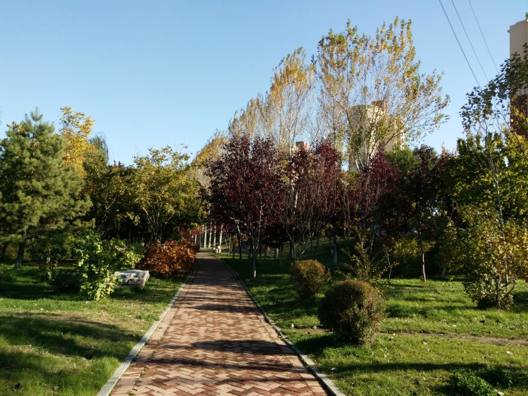 长春百花园