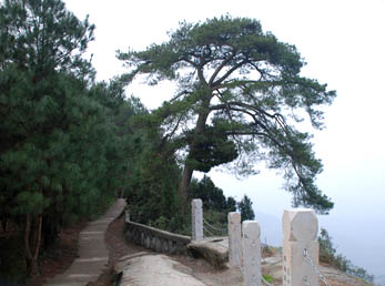 太蓬山