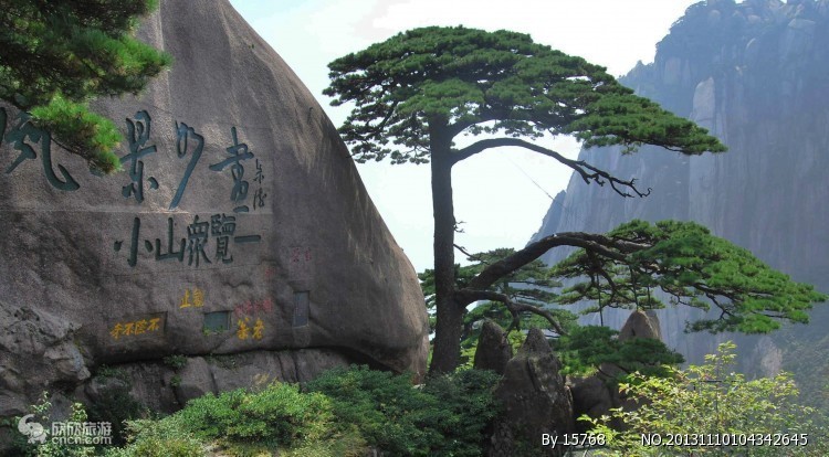 迎客松