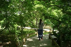 菩提岛