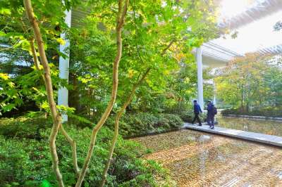 日照白鹭湾小镇：以“艺术+旅游”模式 探索乡村振兴新路径