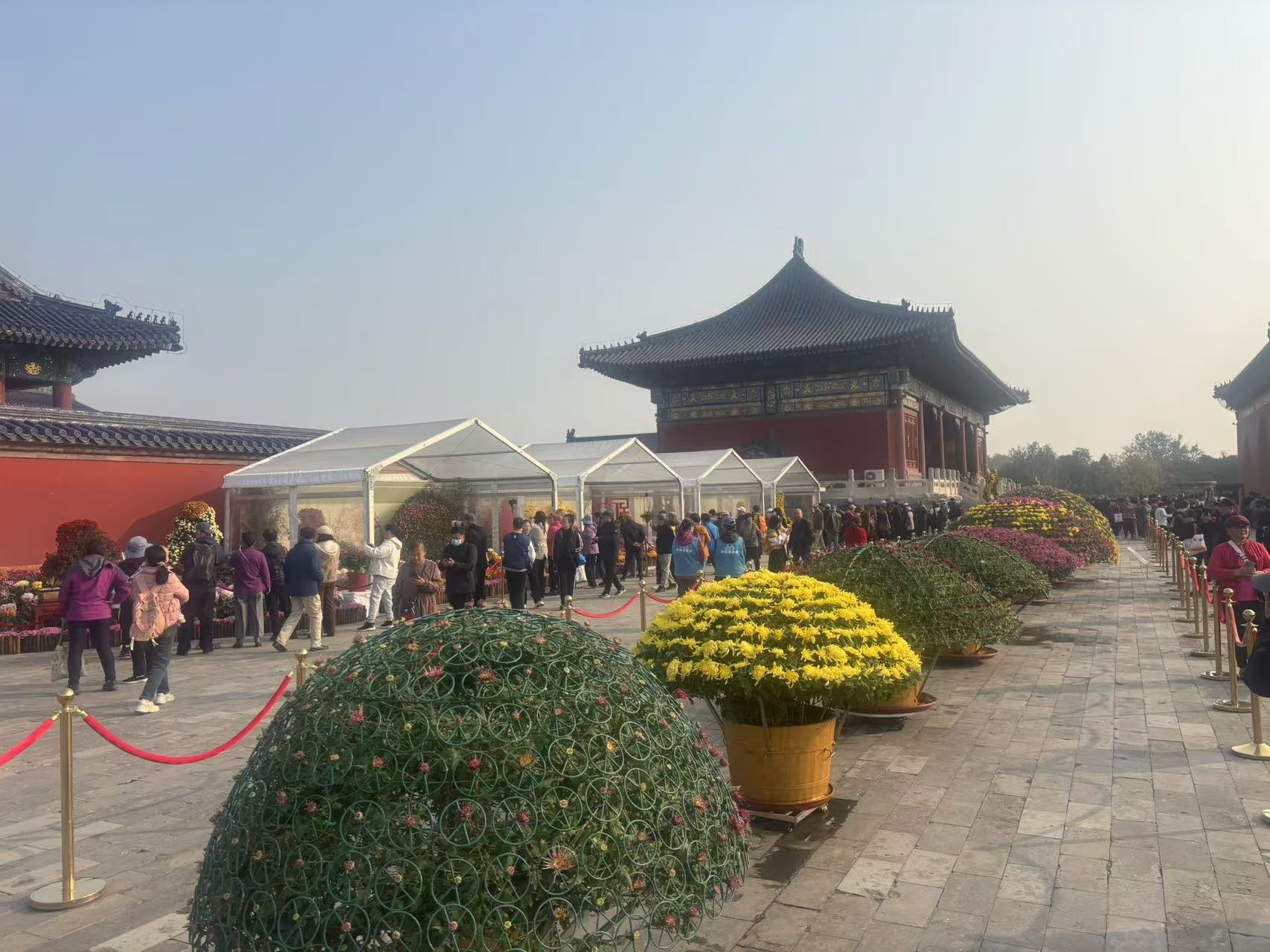 天坛公园第43届菊花展开幕